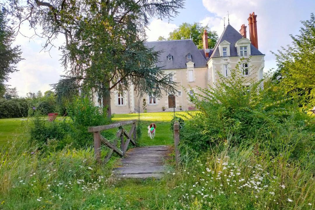 Photo of Others in Les Montils