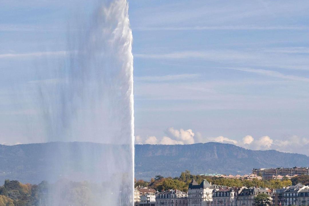 Photo of Others in Ferney-Voltaire