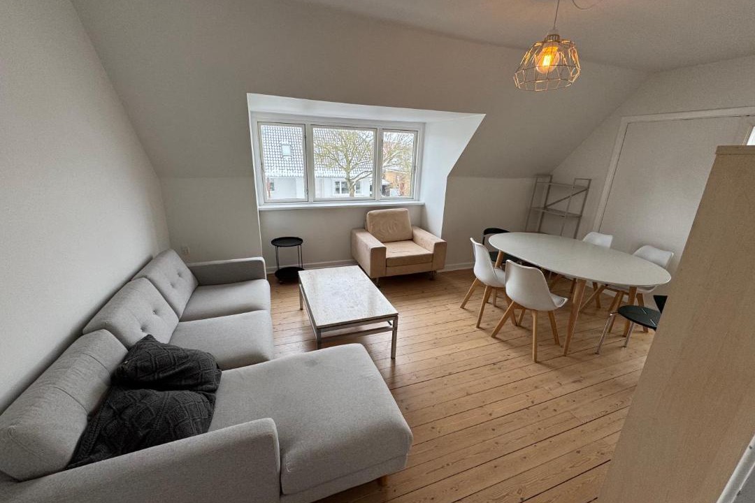 Photo of Others in Odense SV