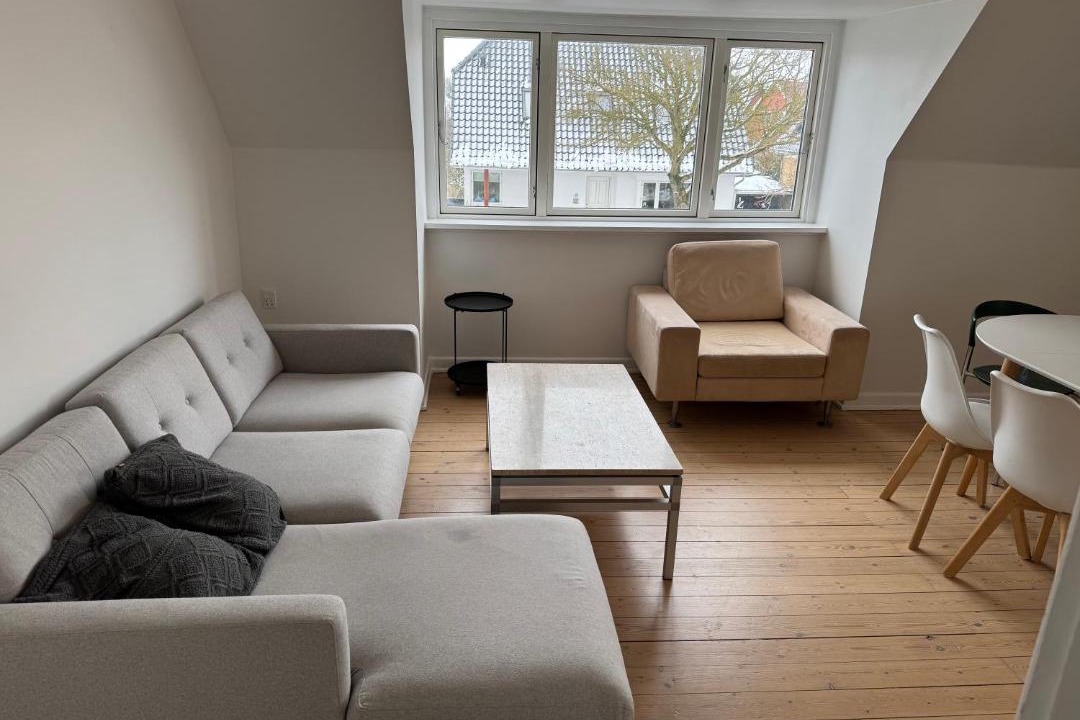Photo of Others in Odense SV
