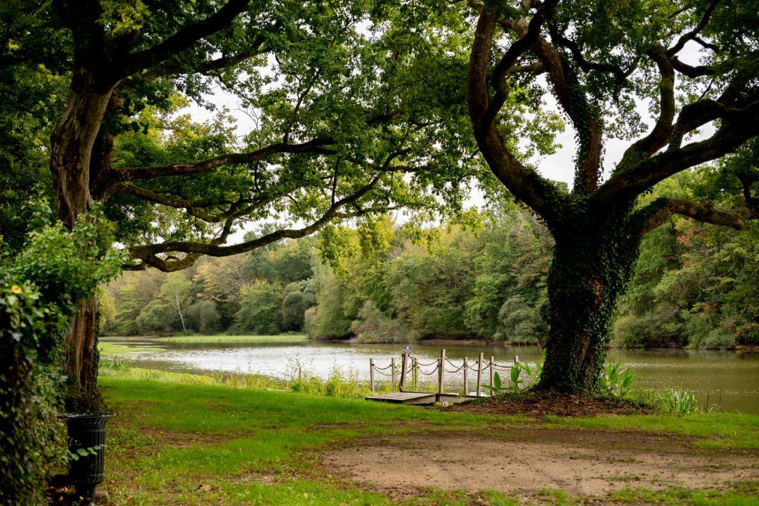 Photo of Others in Nieuil