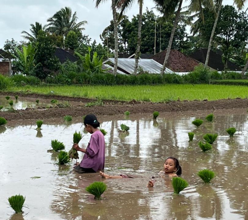 Photo of Others in Tetebatu