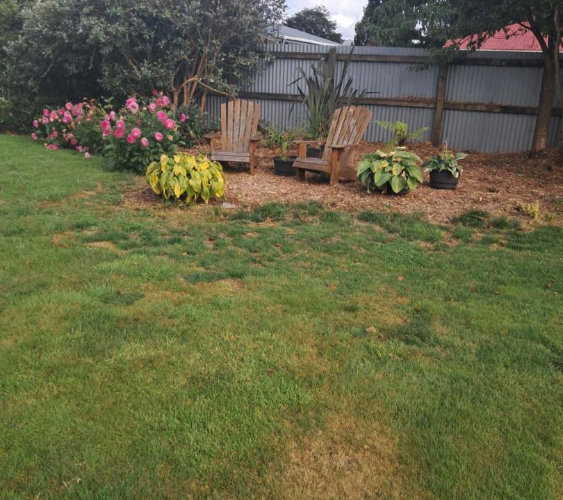 Photo of Others in Reefton