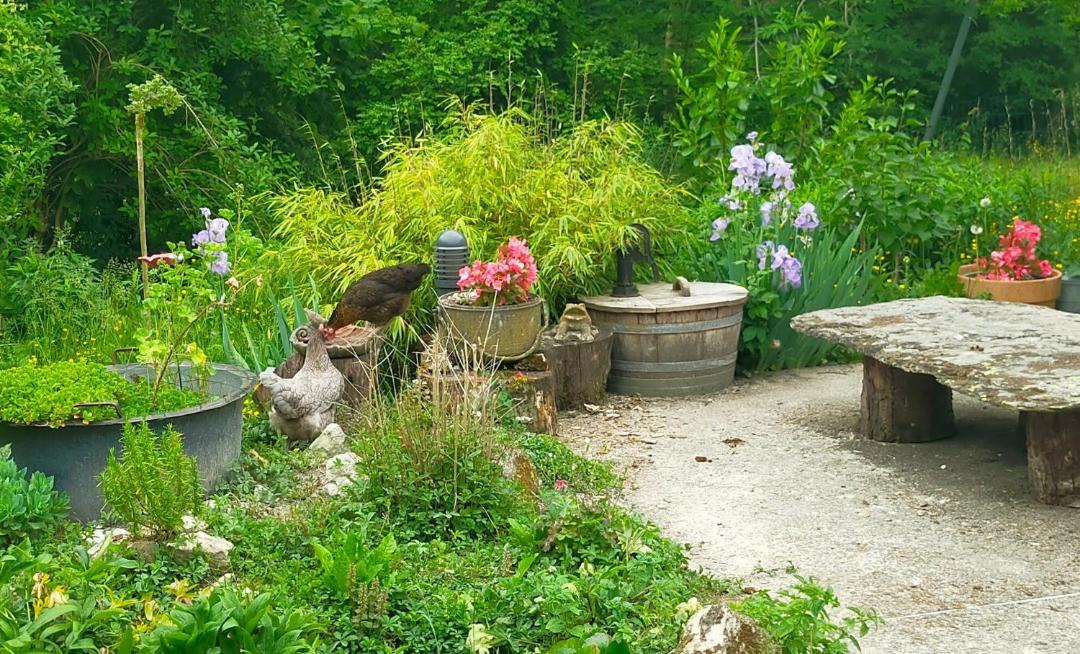 Photo of Others in Ville-sur-Tourbe