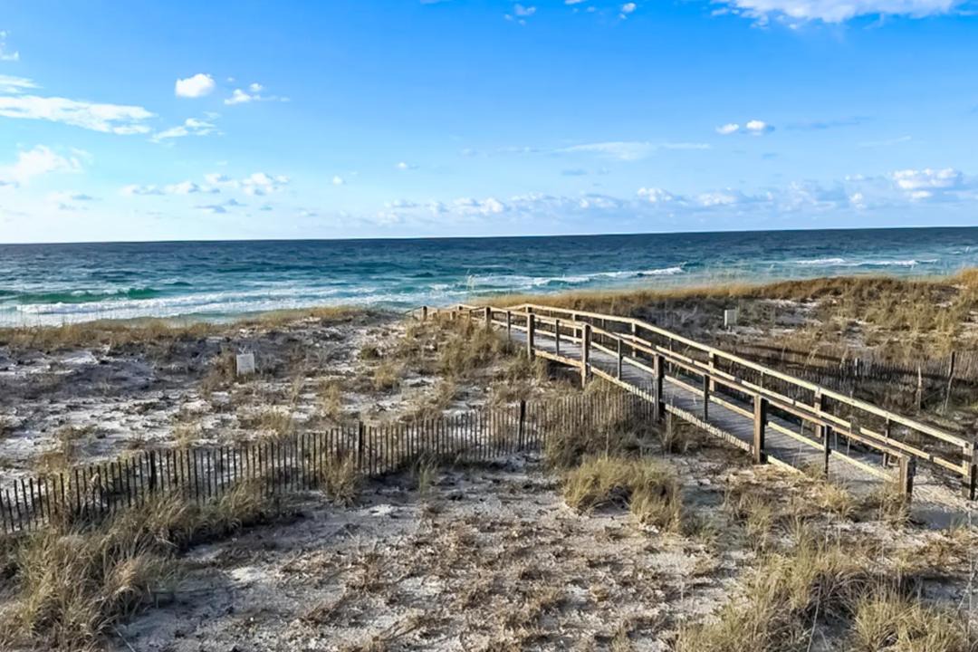 Photo of Others in White Sands