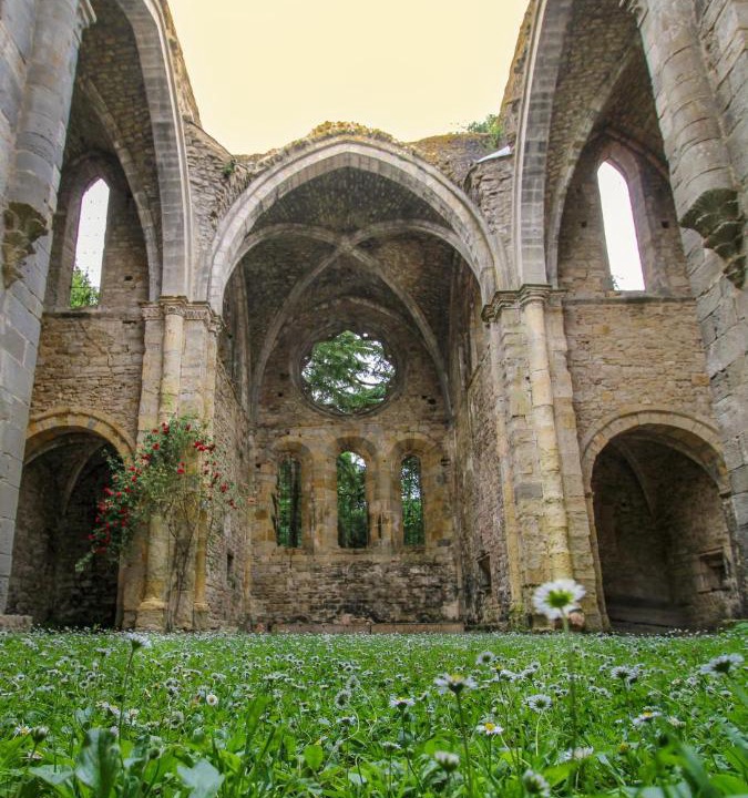 Photo of Others in Saint-Martin-le-Vieil