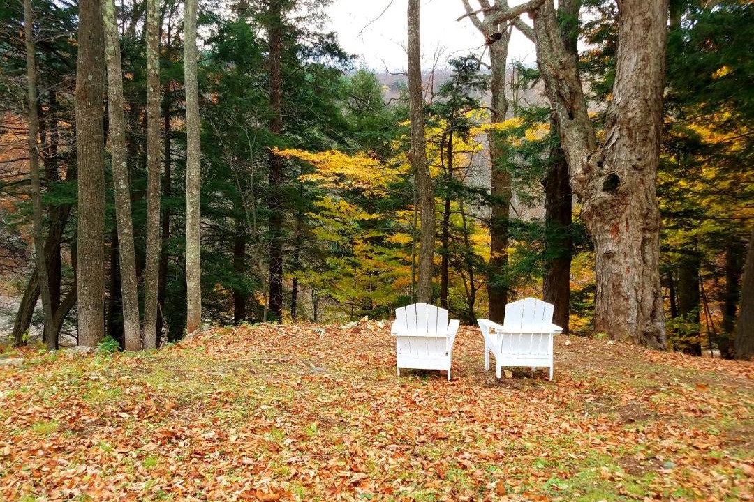 Photo of Others in Prattsville