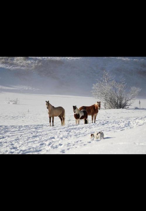 Photo of Others in Roubion