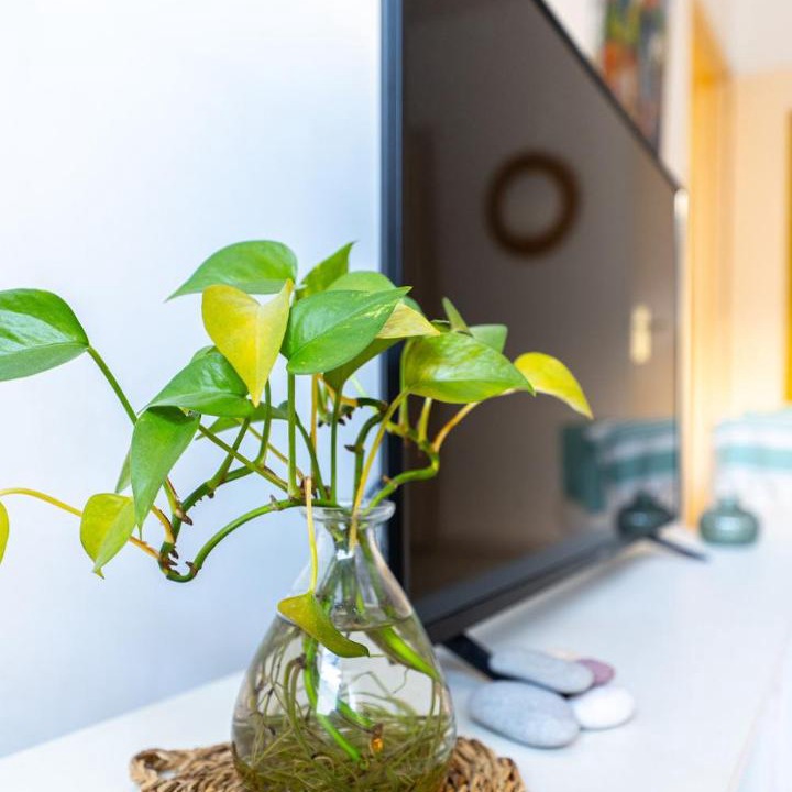 Photo of Livingroom in Liberation