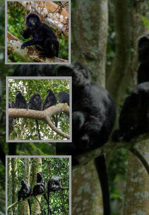 Photo of Others in Kecamatan Sikur