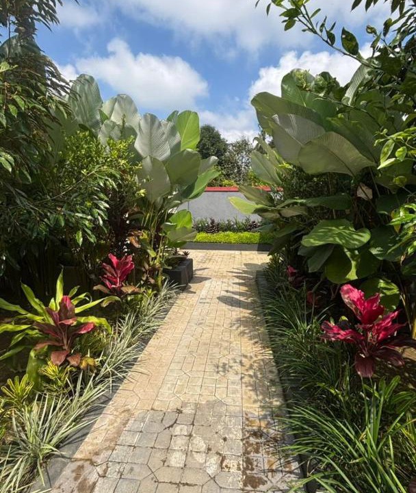 Photo of Others in Tembuku