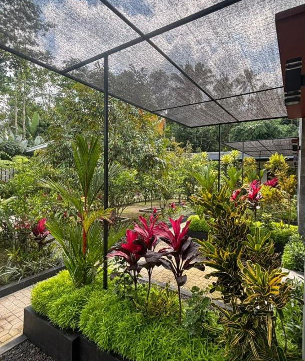 Photo of Others in Tembuku