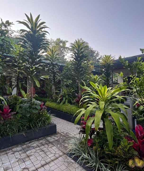 Photo of Others in Tembuku