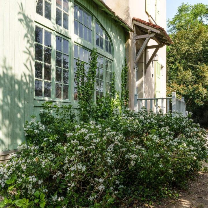 Photo of Others in Bourgueil