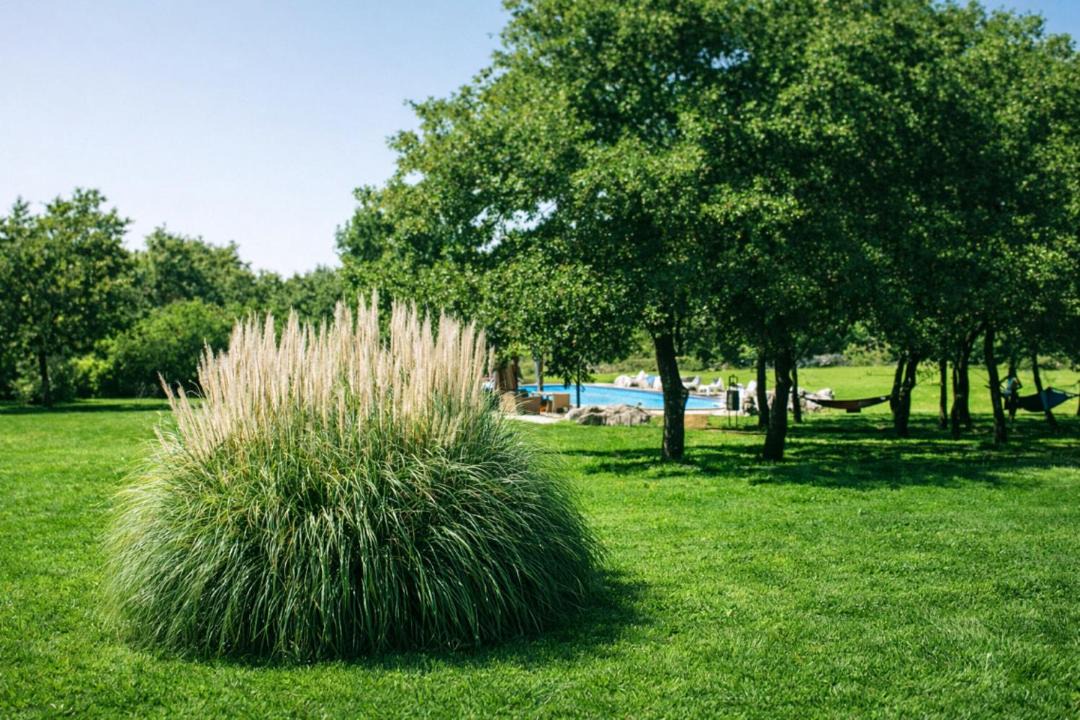 Photo of Outdoor in Divsici
