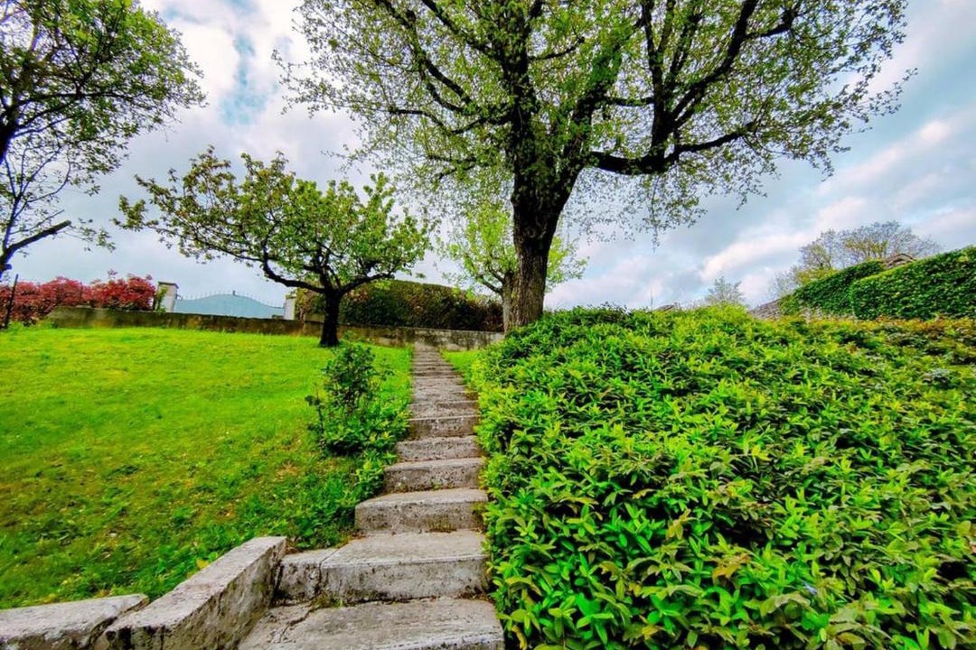 Photo of Others in Mige