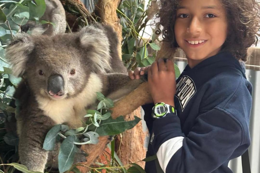 Photo of Others in Lavers Hill