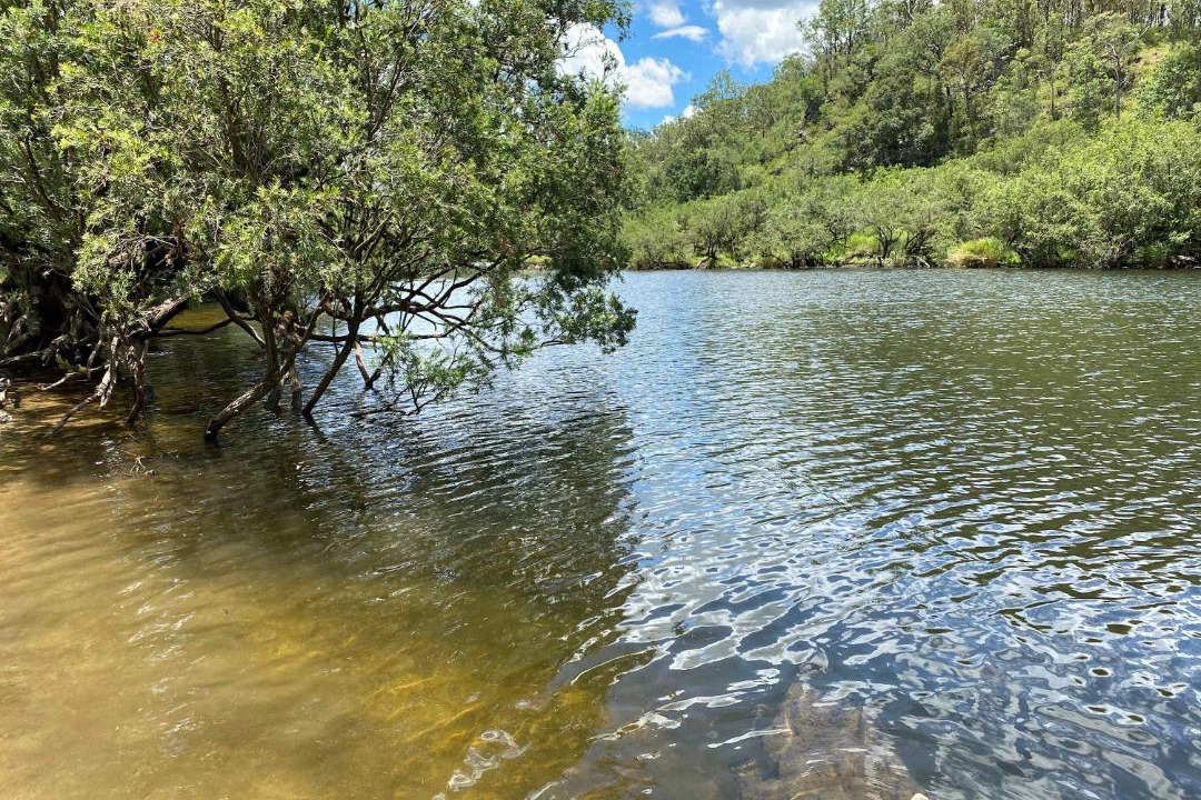 Photo of Others in Tabulam