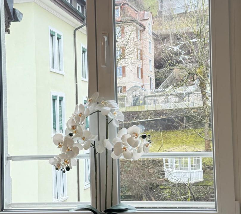 Photo of Others in St. Gallen