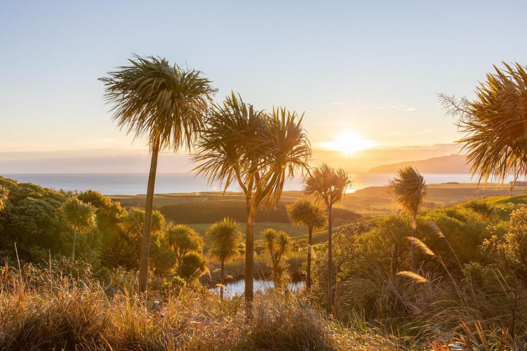 Photo of Others in Whangaimoana