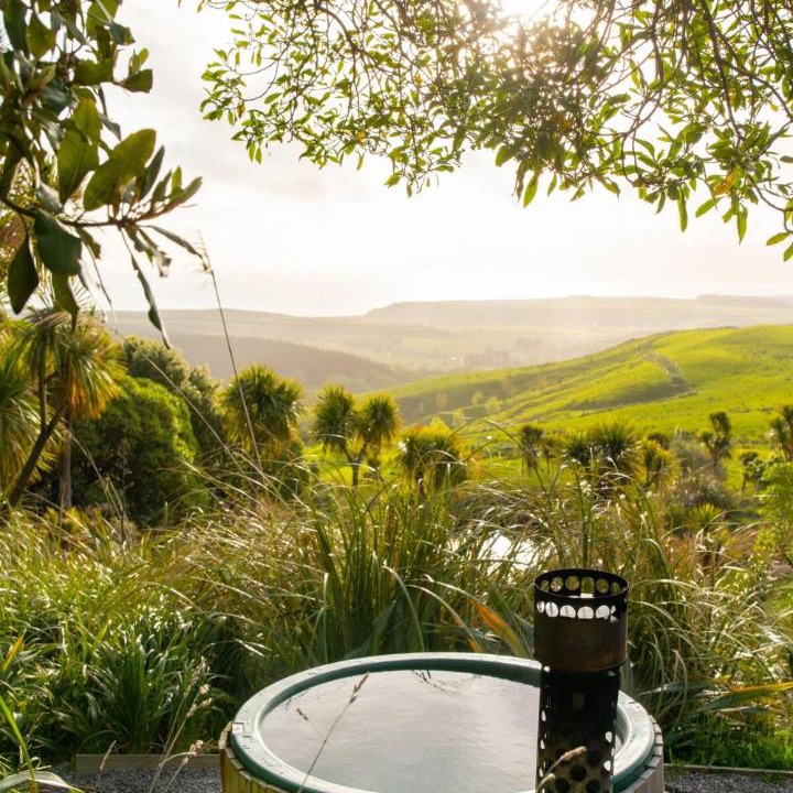 Photo of Others in Whangaimoana