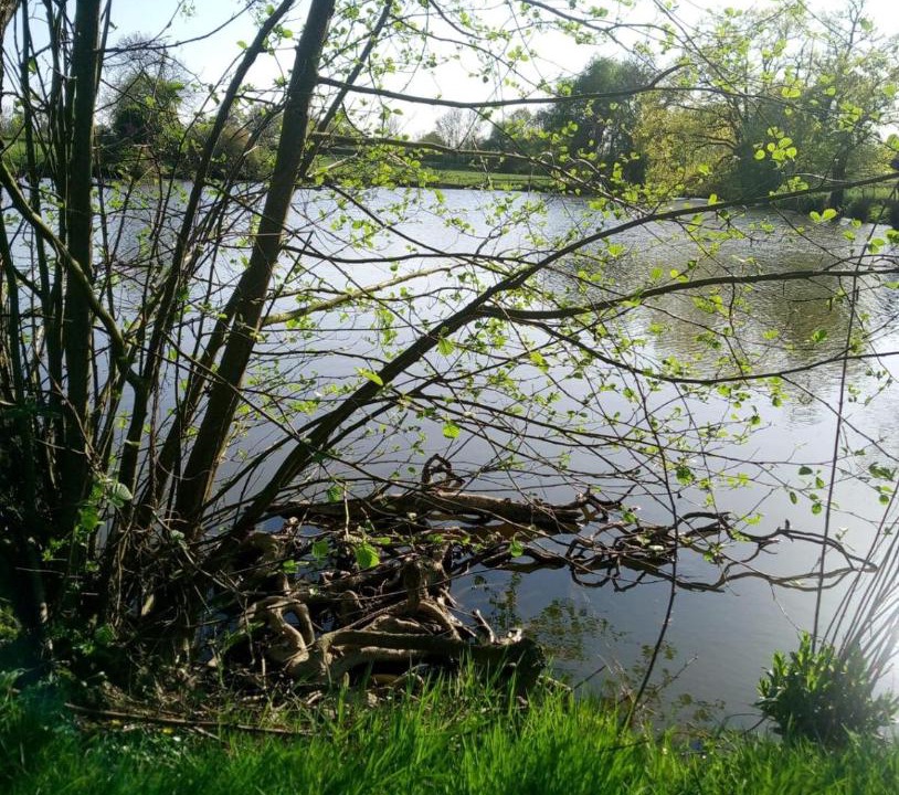 Photo of Others in Moutiers-Sous-Chantemerle