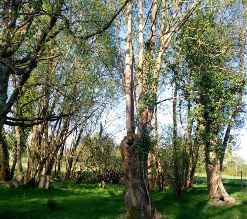 Photo of Others in Moutiers-Sous-Chantemerle