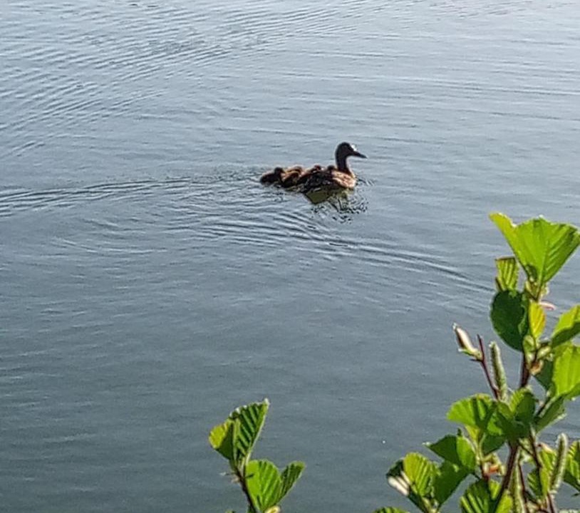 Photo of Others in Moutiers-Sous-Chantemerle