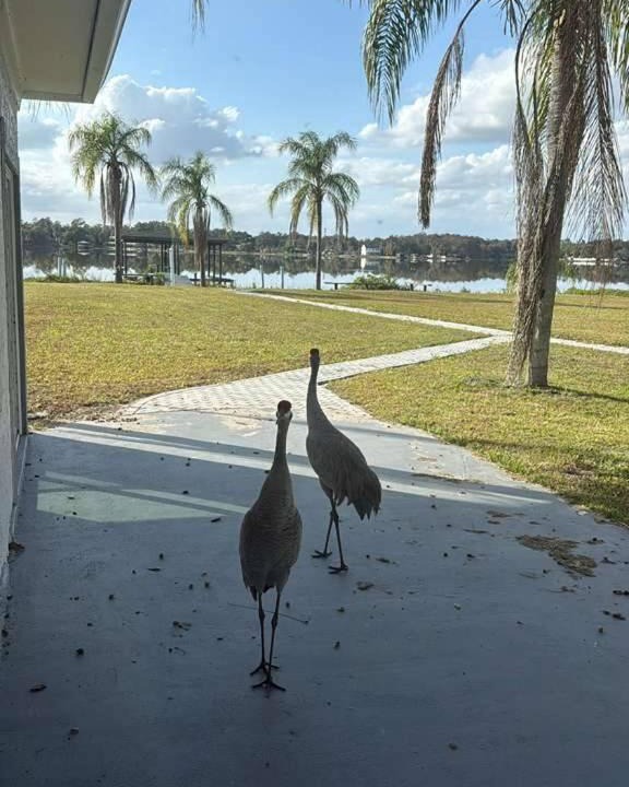 Photo of Others in Pine Castle