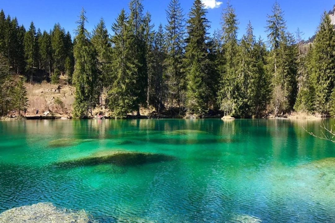 Photo of Others in Flims