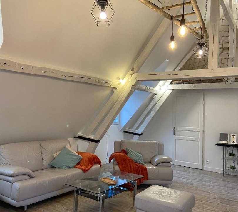 Photo of Livingroom in Centre Ville