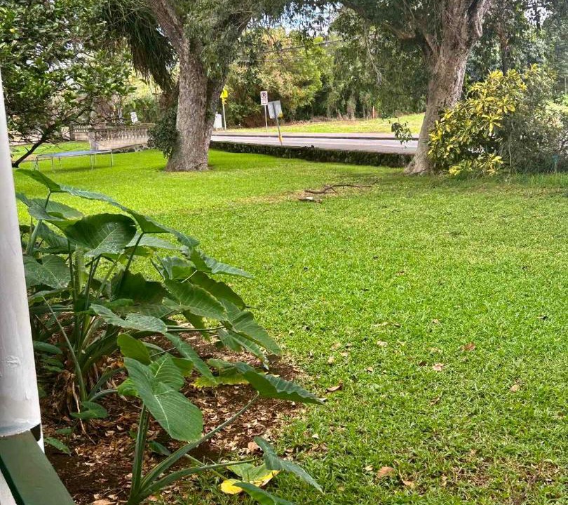 Photo of Others in Naalehu