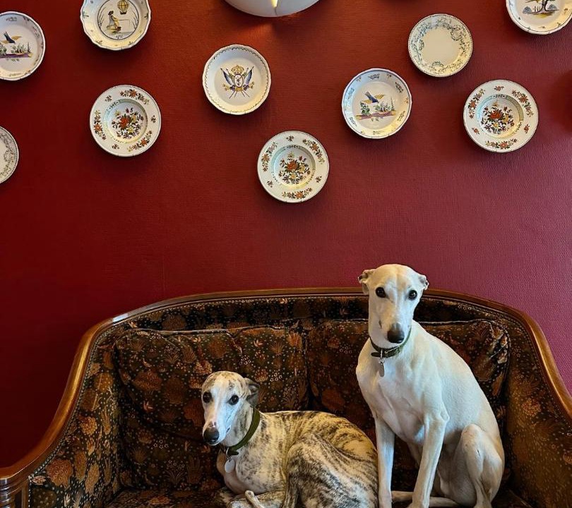 Photo of Others in Saint-Palais