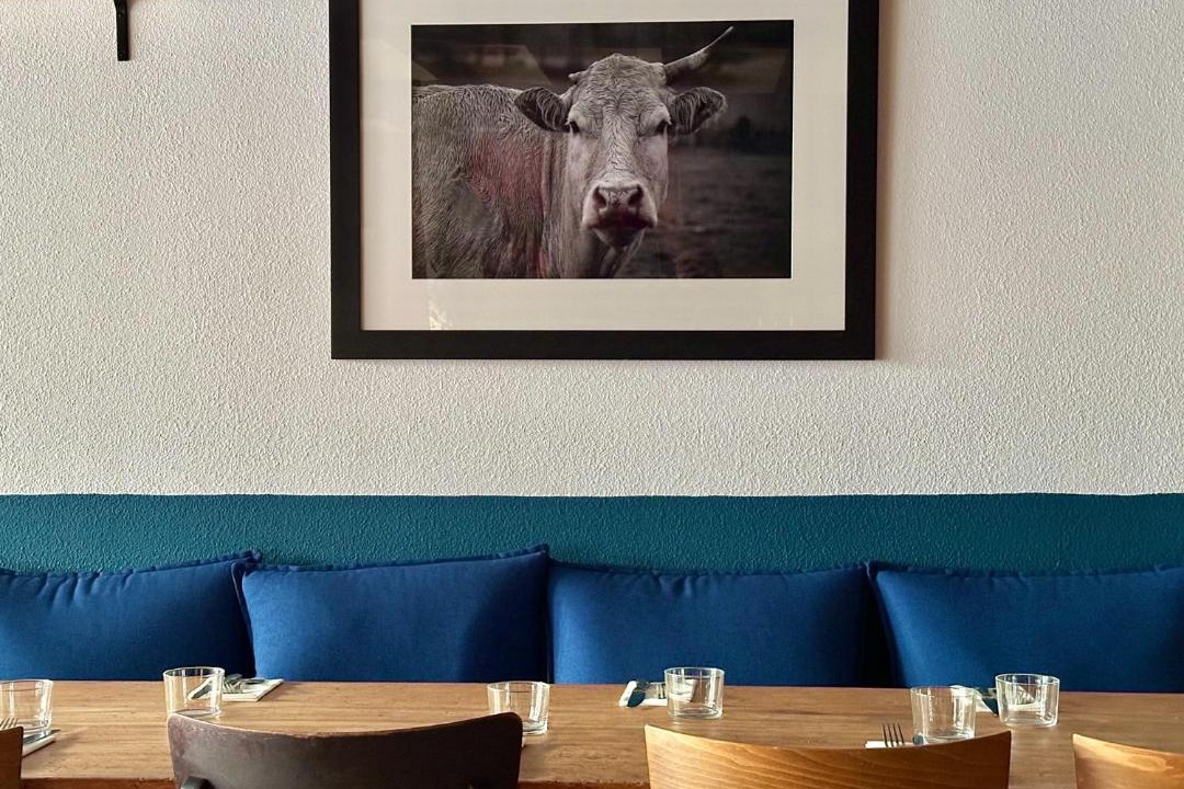 Photo of Others in Saint-Palais