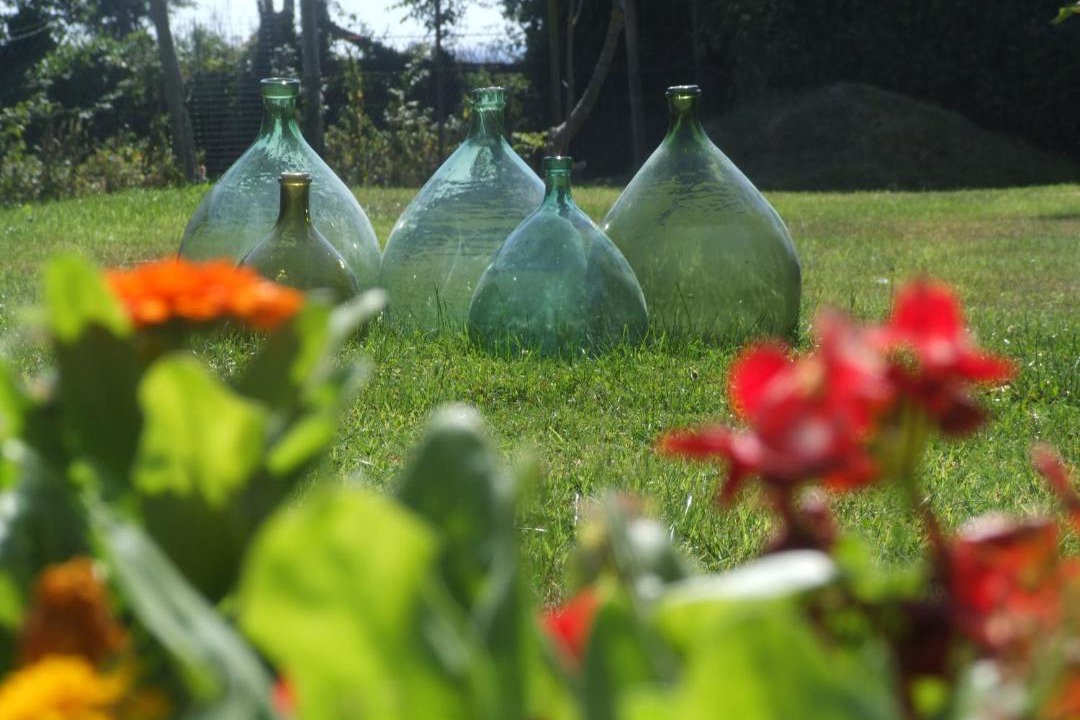 Photo of Others in Dangy