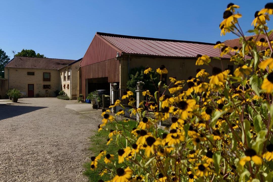 Photo of Others in Peltre