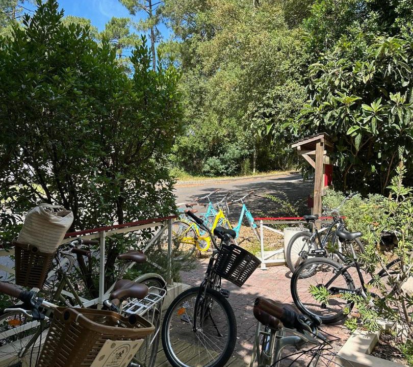 Photo of Others in Soorts-Hossegor