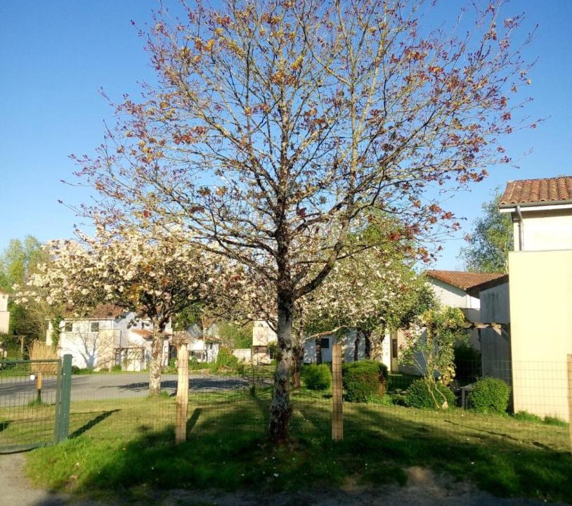 Photo of Others in Moutiers-Sous-Chantemerle