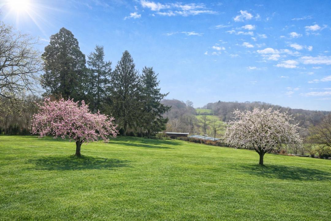 Photo of Others in Troche