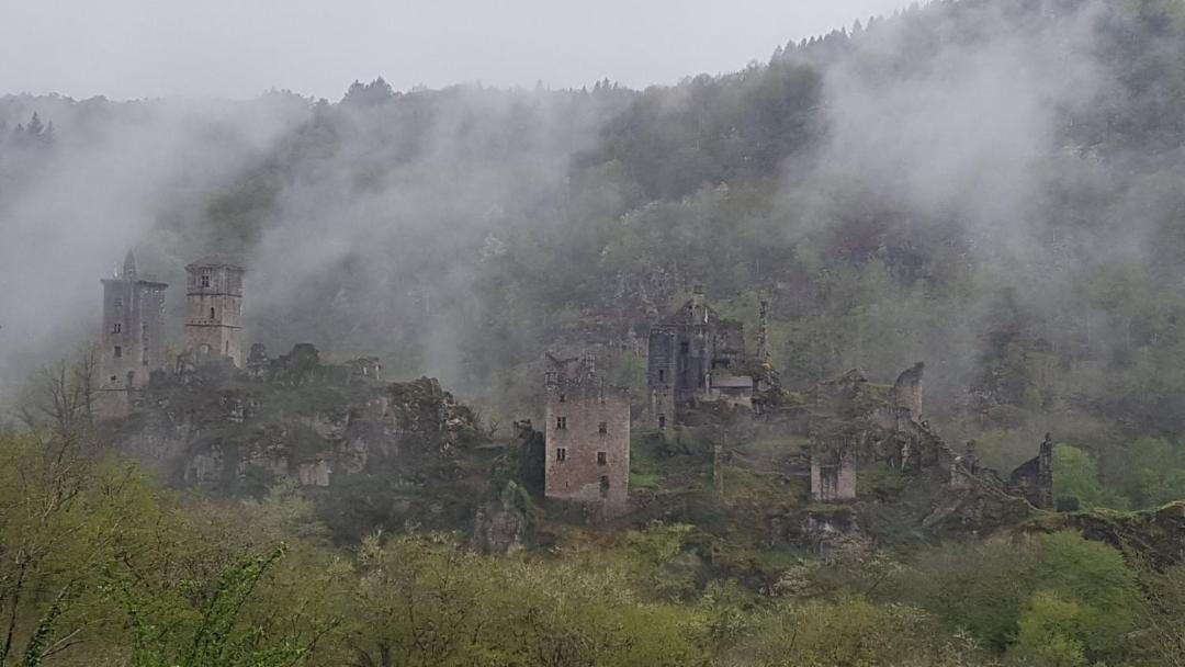 Photo of Others in Goulles