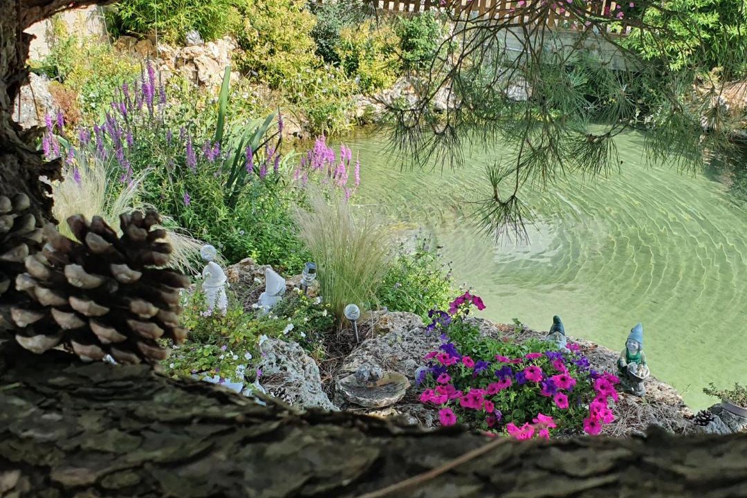 Photo of Others in Vinay