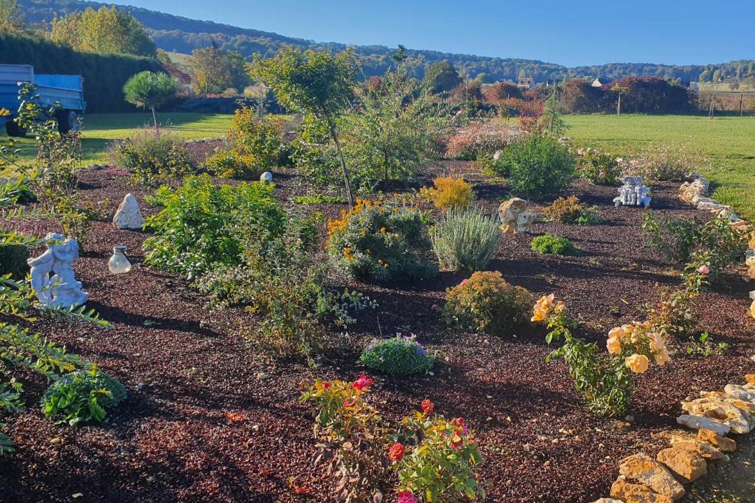 Photo of Others in Vinay