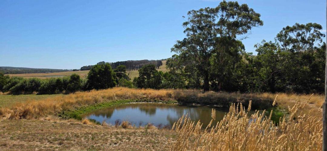 Photo of Others in Jancourt East