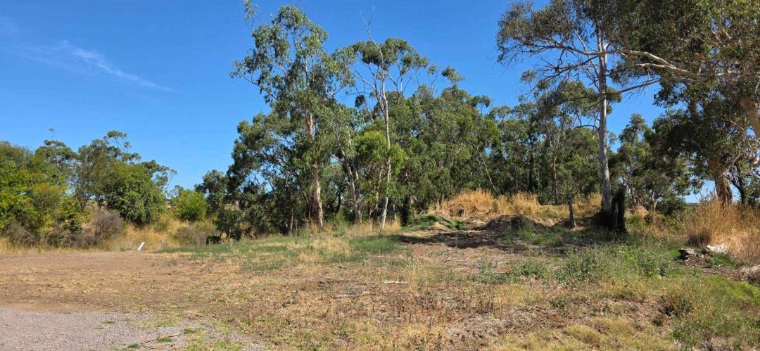 Photo of Others in Jancourt East