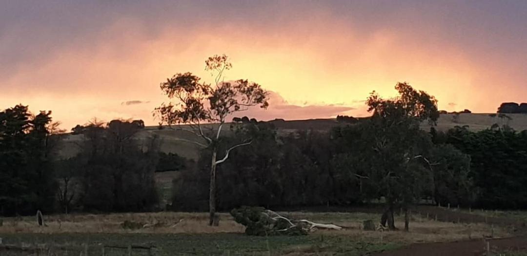 Photo of Others in Jancourt East