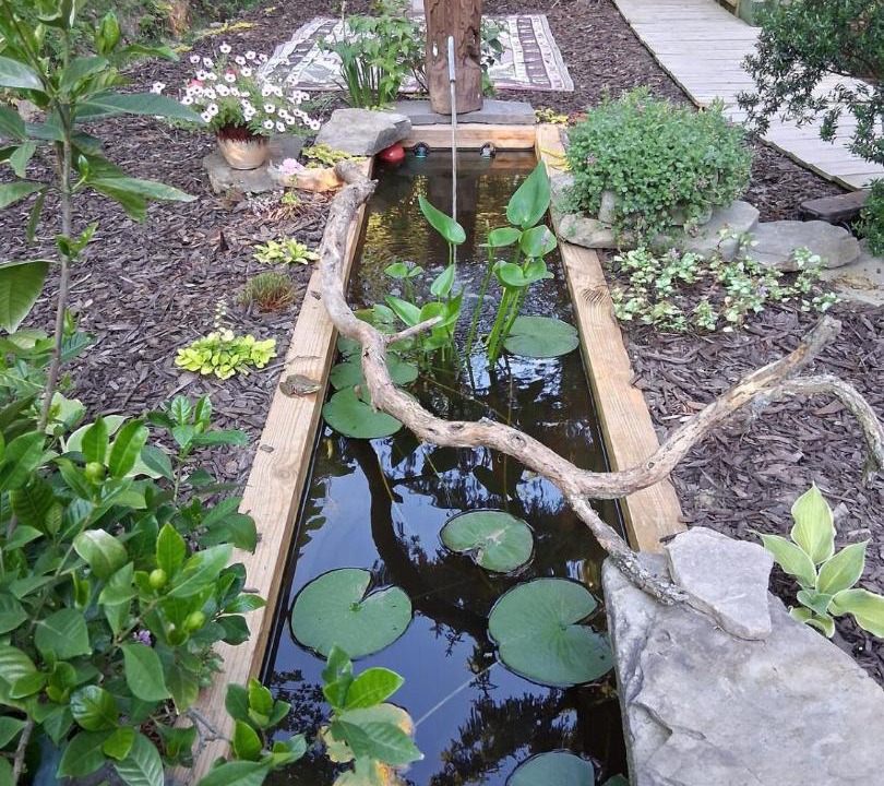 Photo of Others in Camptown