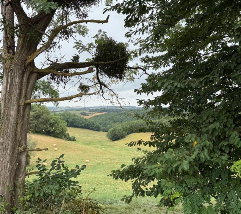 Photo of Others in Le Pin-Murelet