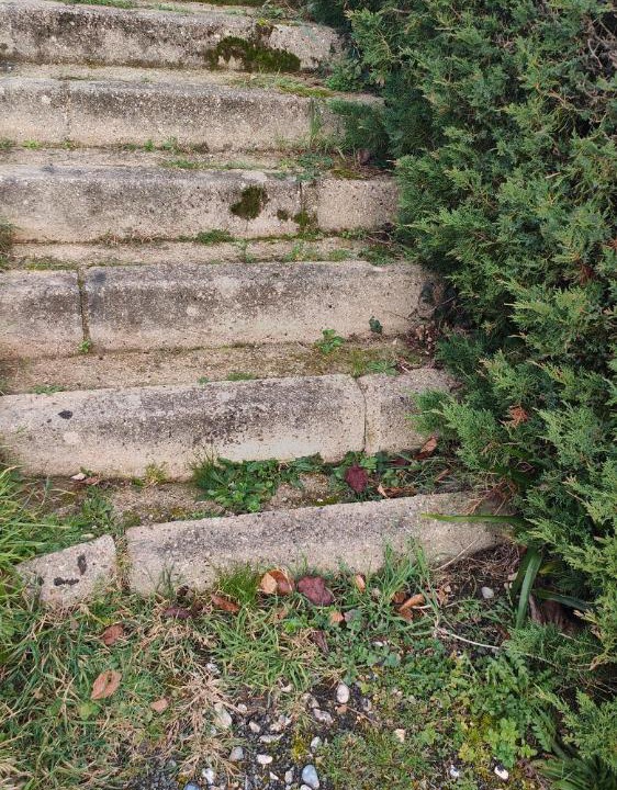 Photo of Outdoor in Dampierre-Saint-Nicolas
