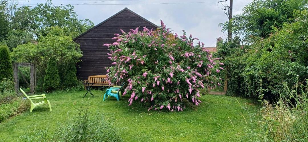 Photo of Others in Bouconville