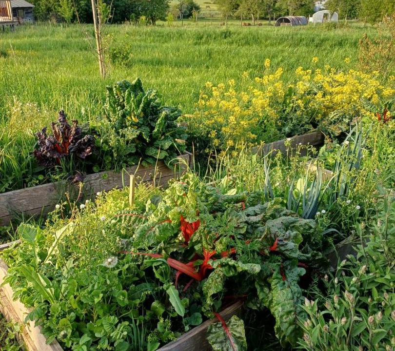 Photo of Others in Bouconville